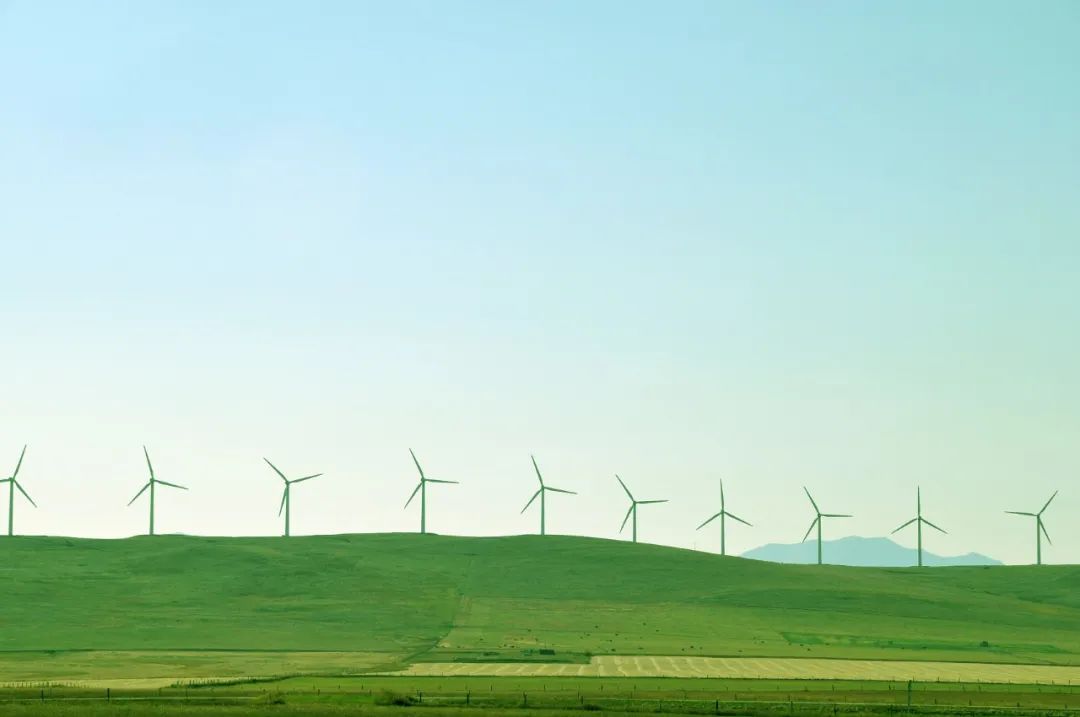 D0856B1E9B7F86B6B35A680CC1A_4105C2F3_95A1