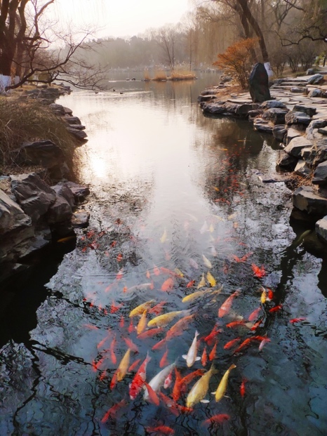 首页| 9001cc金沙集团以诚为本官网