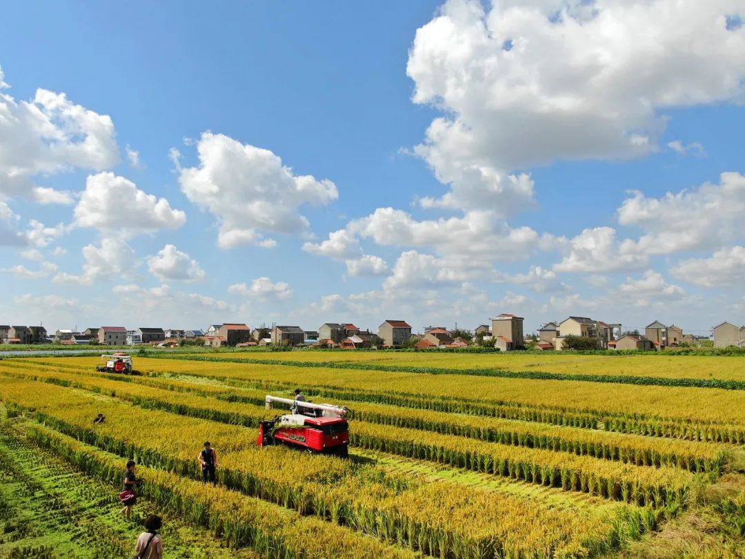 唐遥：面向将来若何成立多维度多样化的村落振兴评价系统？