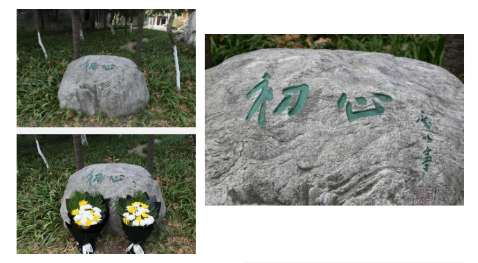 1CBD6E6963BF468DC067F03F65F_978703B4_5FBFC