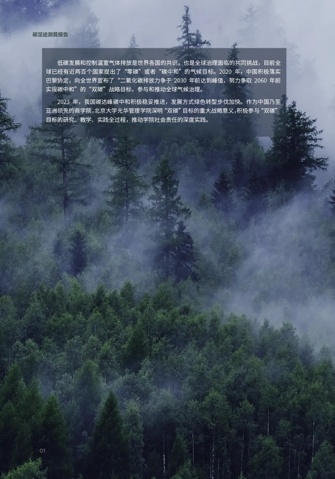 D595F62A5E92D313241E075B0C4_09F872E5_1C509C