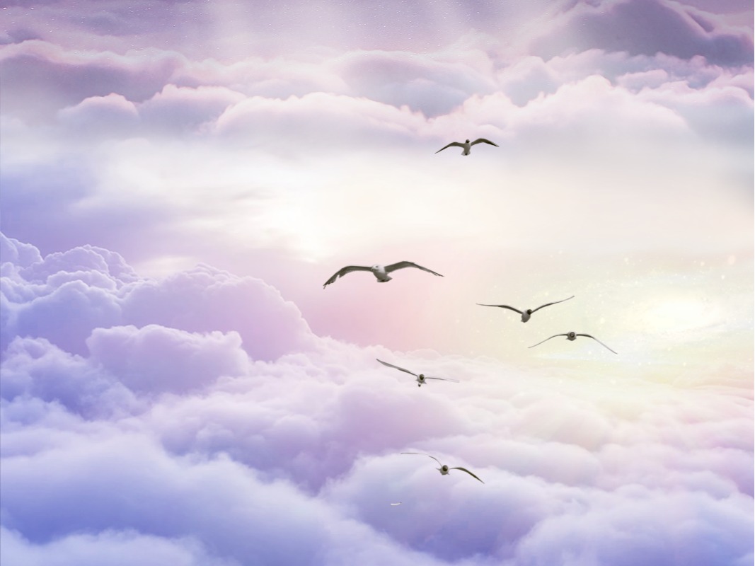 首页| 9001cc金沙集团以诚为本官网