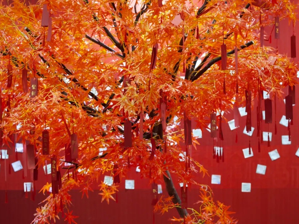 首页| 9001cc金沙集团以诚为本官网