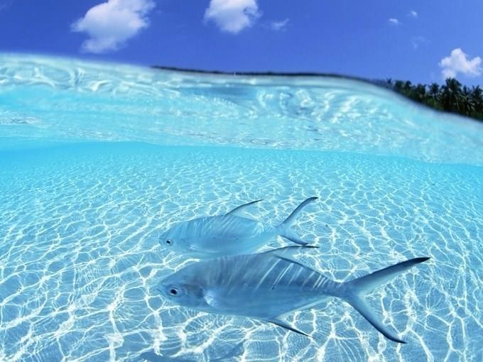 首页| 9001cc金沙集团以诚为本官网