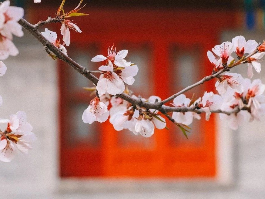 首页| 9001cc金沙集团以诚为本官网