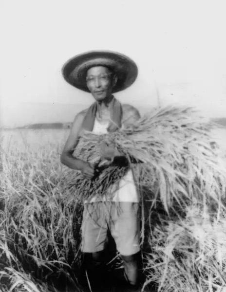 首页| 9001cc金沙集团以诚为本官网