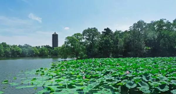 44BBF0CFDB4ED03BE3895CD2F39_F22206CF_92A1