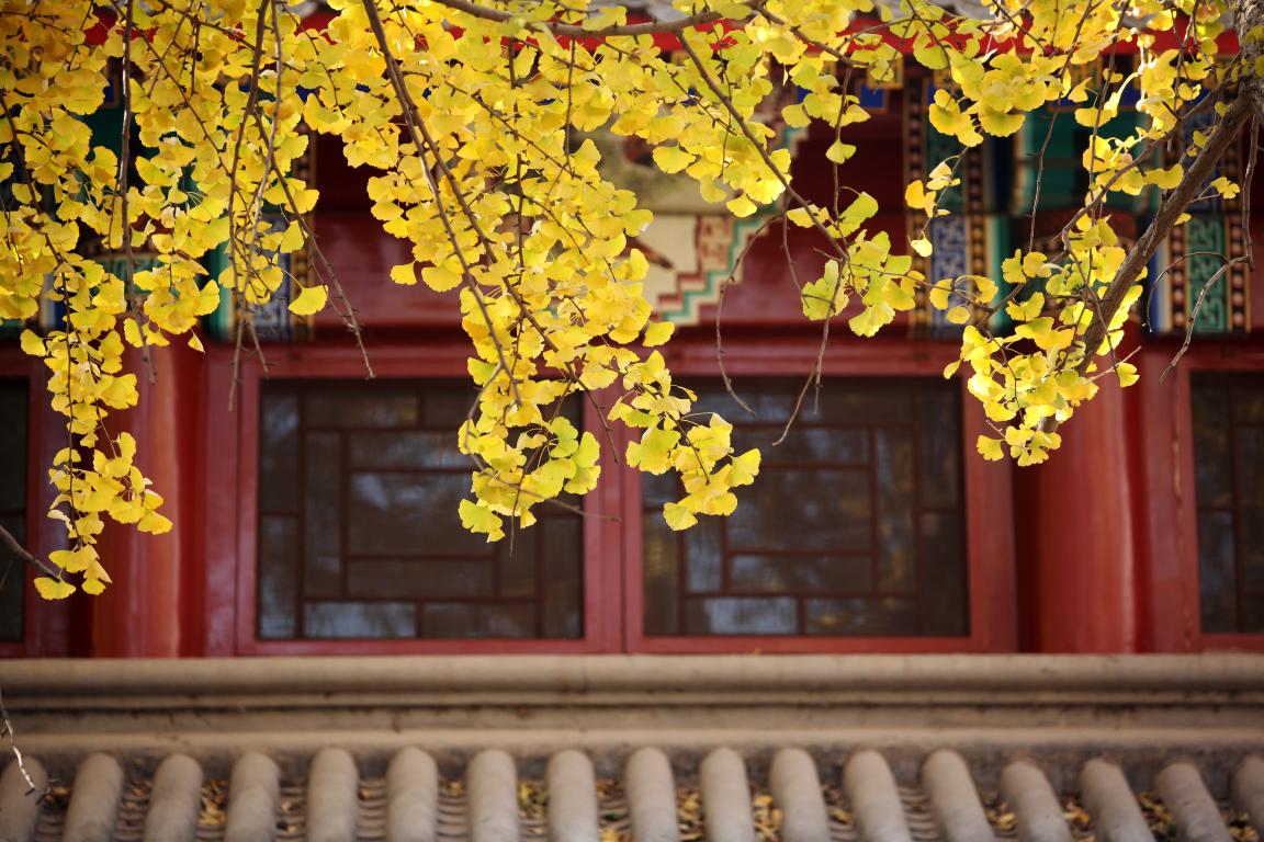 感动 | 确认过眼神，你是对的人