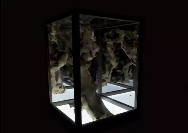 首页| 9001cc金沙集团以诚为本官网