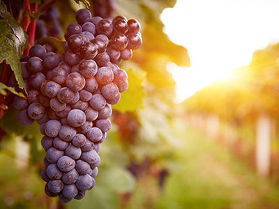 首页| 9001cc金沙集团以诚为本官网