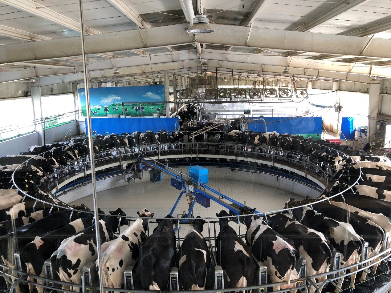 32EF48873DED388BF9A8C810287_8730A20F_6D2A1