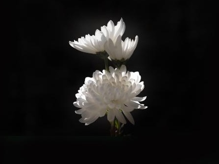 首页| 9001cc金沙集团以诚为本官网