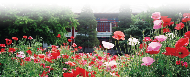 首页| 9001cc金沙集团以诚为本官网