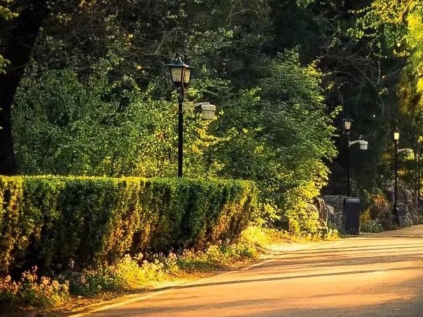 首页| 9001cc金沙集团以诚为本官网