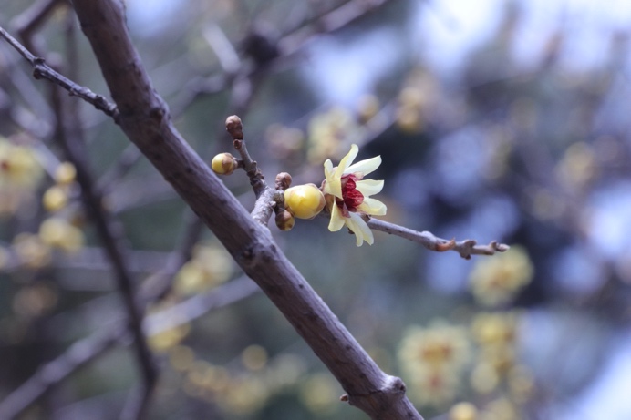 首页| 9001cc金沙集团以诚为本官网