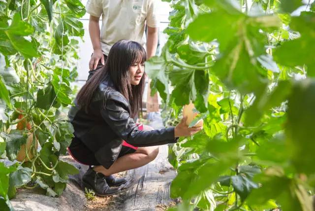 首页| 9001cc金沙集团以诚为本官网