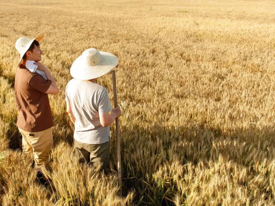 首页| 9001cc金沙集团以诚为本官网