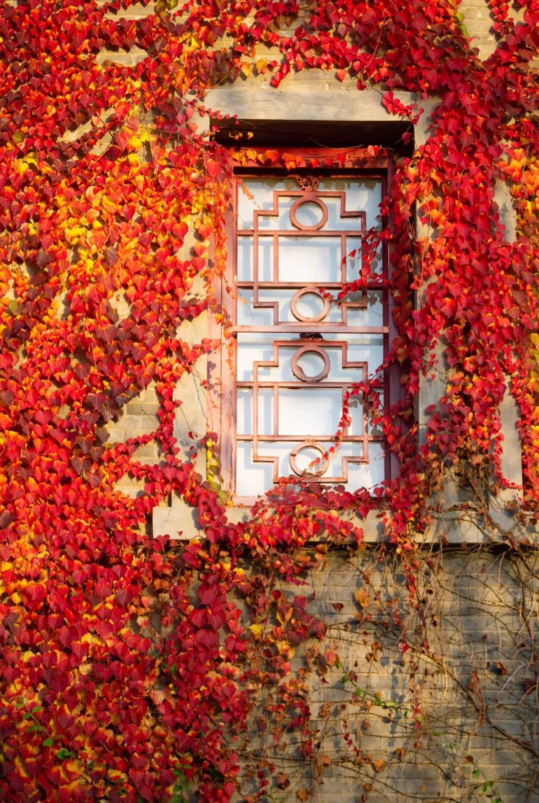 首页| 9001cc金沙集团以诚为本官网