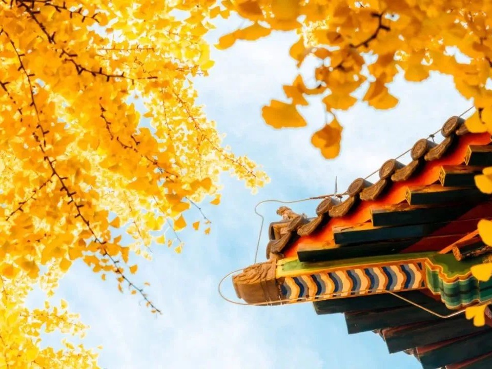 首页| 9001cc金沙集团以诚为本官网