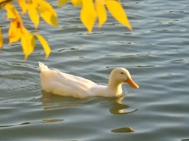 首页| 9001cc金沙集团以诚为本官网