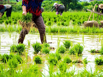 首页| 9001cc金沙集团以诚为本官网