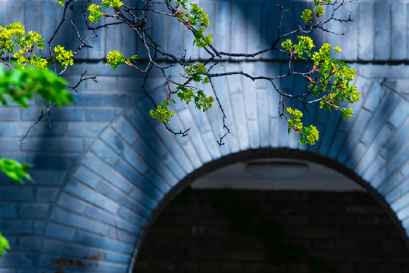 首页| 9001cc金沙集团以诚为本官网