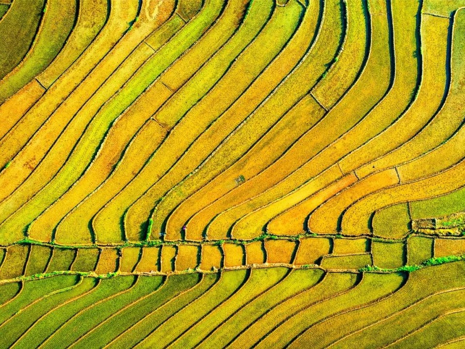 首页| 9001cc金沙集团以诚为本官网