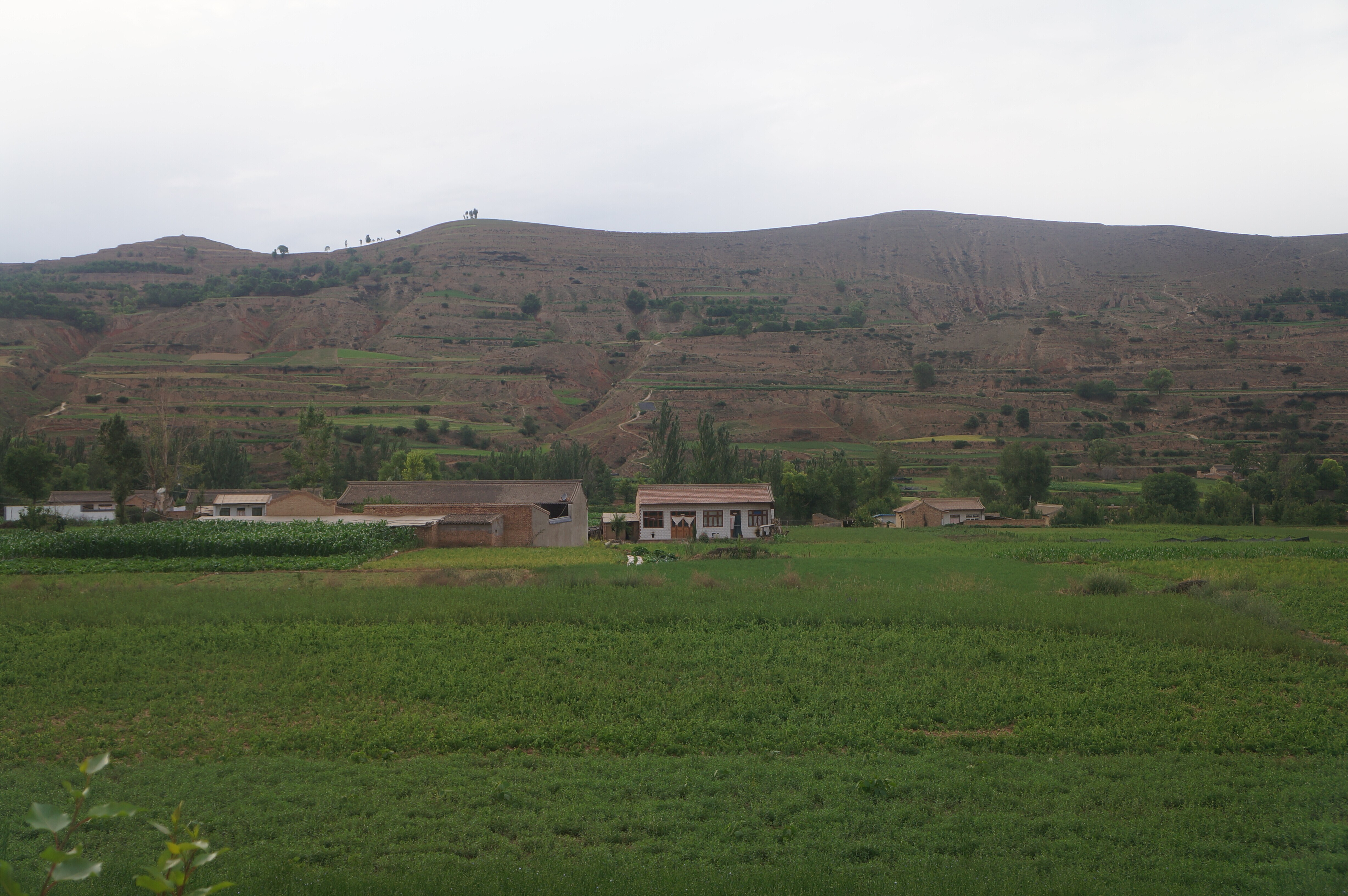 首页| 9001cc金沙集团以诚为本官网