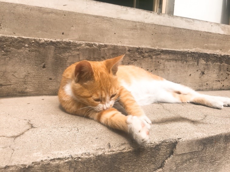 EFB33DD37D18A903DE1F744321C_12413790_2222C