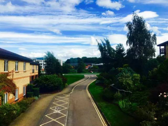 技术是建行，品牌是沉淀?