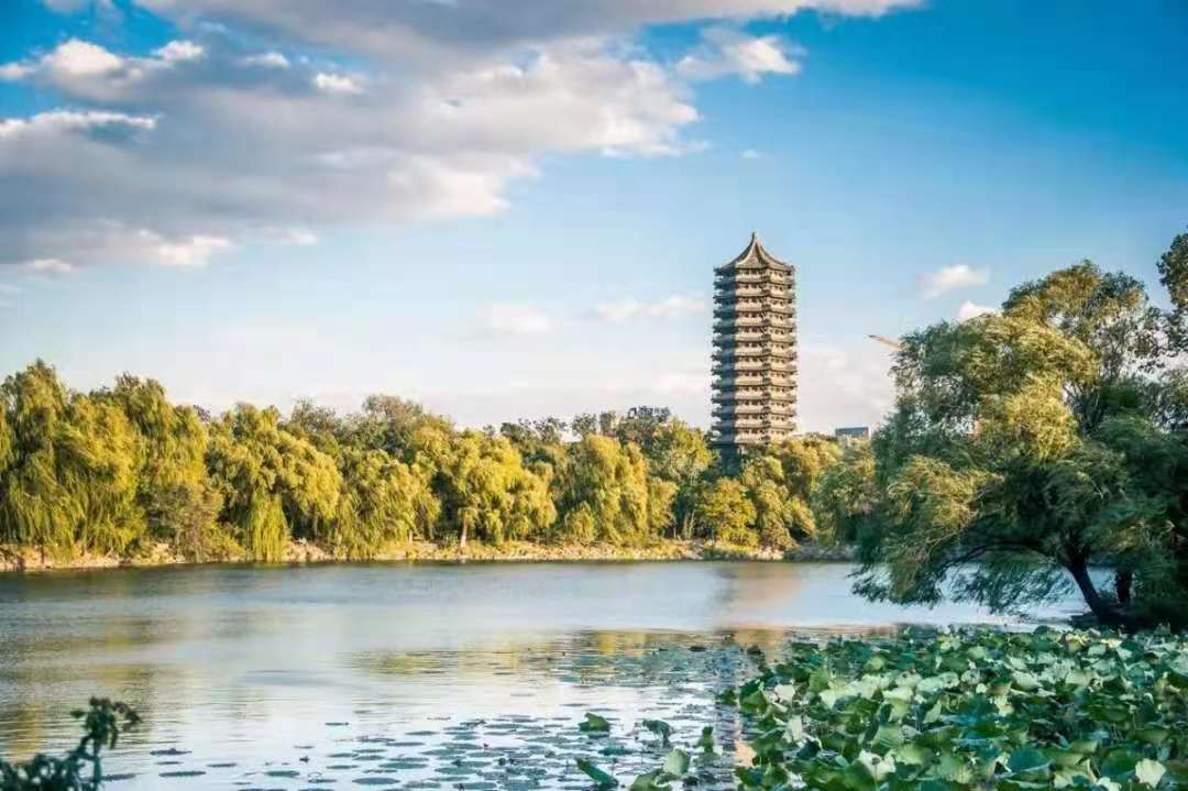 3E2D6AF83EF09EAF92F7B9FD31E_059E9CD9_15B43