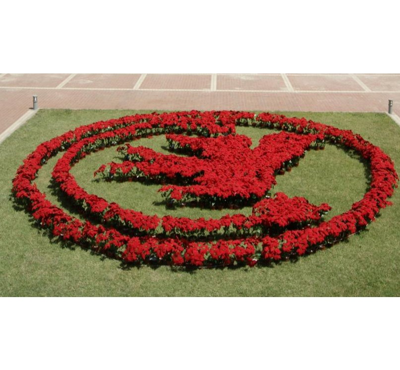 首页| 9001cc金沙集团以诚为本官网