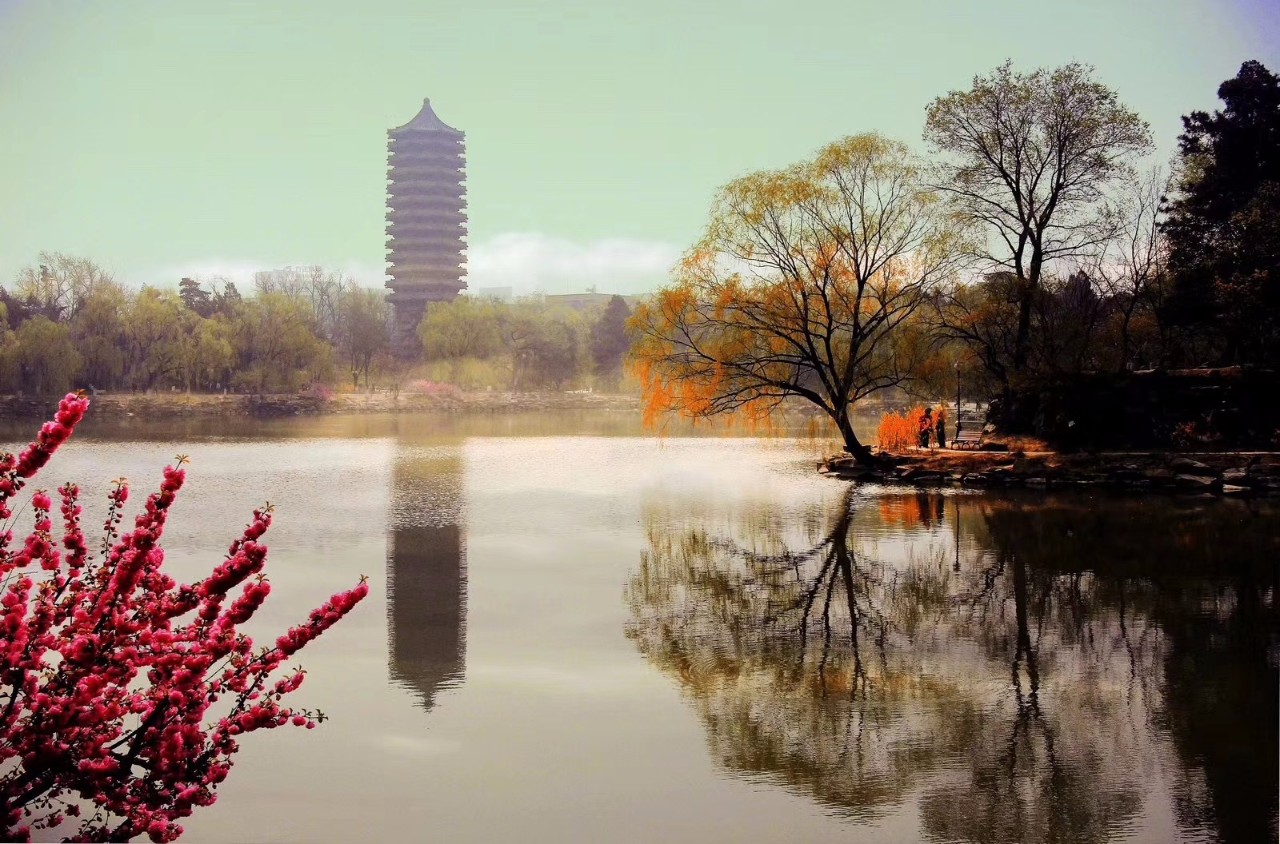 0E9AB29E970EEEDEC88E63D0A10_75D89FC3_495CC