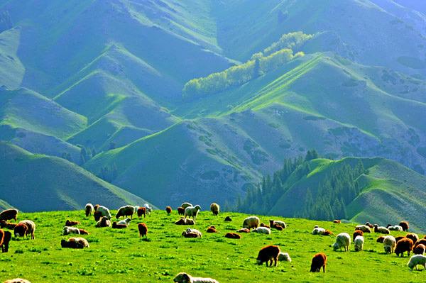 首页| 9001cc金沙集团以诚为本官网