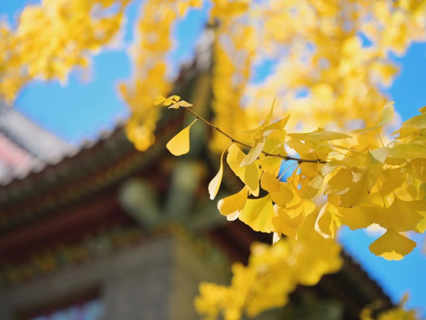 首页| 9001cc金沙集团以诚为本官网