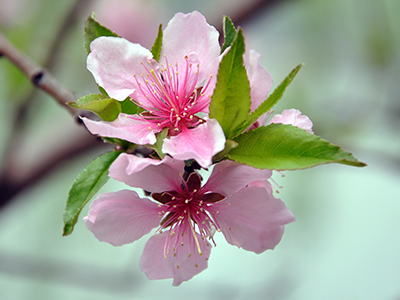 首页| 9001cc金沙集团以诚为本官网