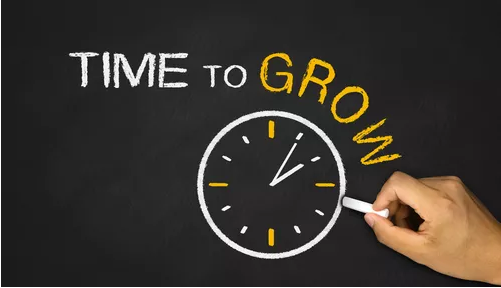 EECEAA9848B6C3F350FE89BA004_C168BA92_17ECF