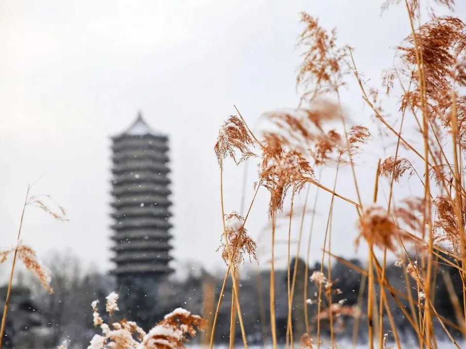 首页| 9001cc金沙集团以诚为本官网