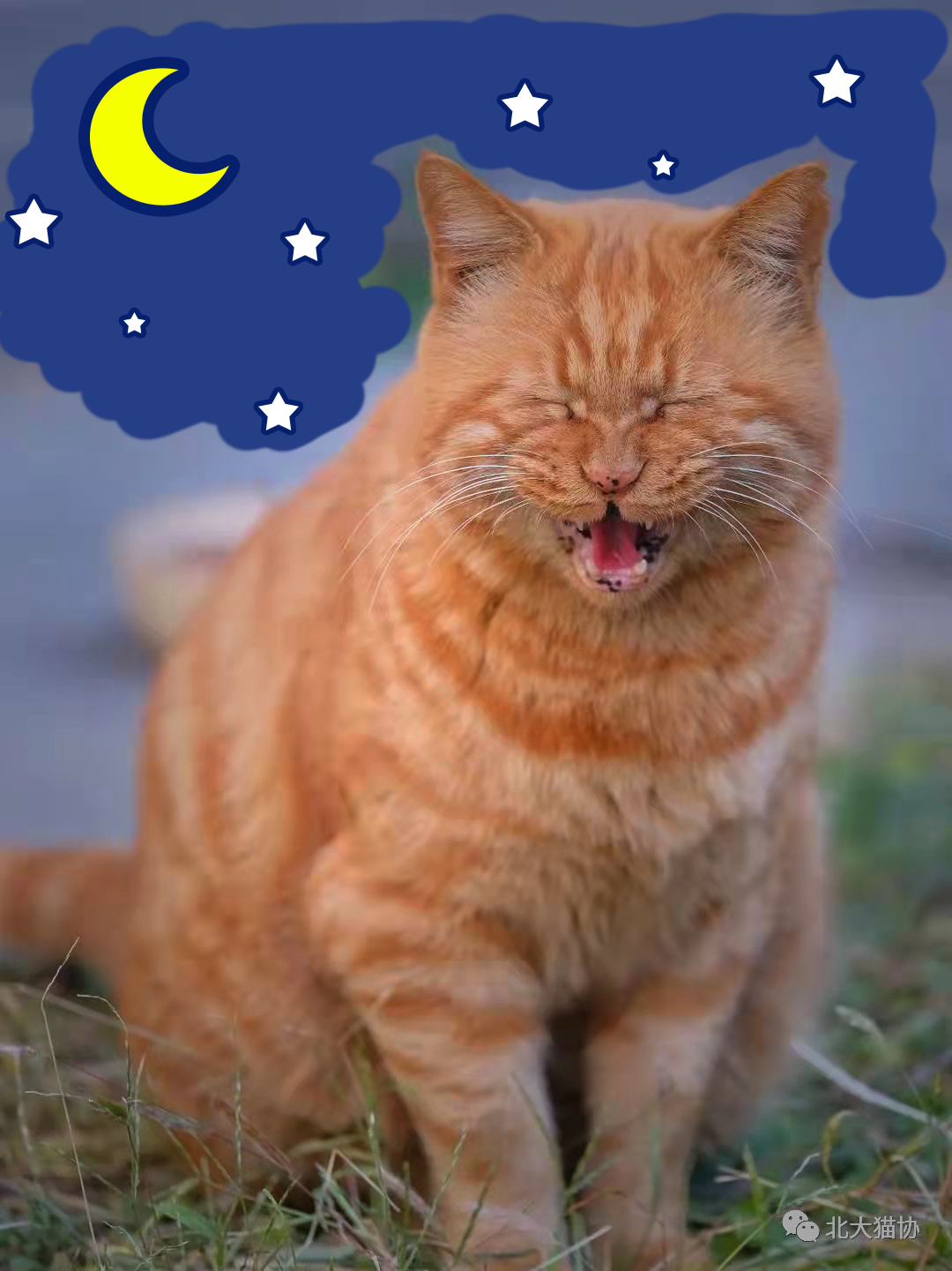 B23016A6C9DEDA01ECD7E7A0D8B_0805F84B_B2917