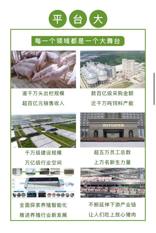 FEB2C437C0705C9BE720109AFBB_EAAAB2B1_118EA