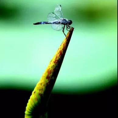 首页| 9001cc金沙集团以诚为本官网