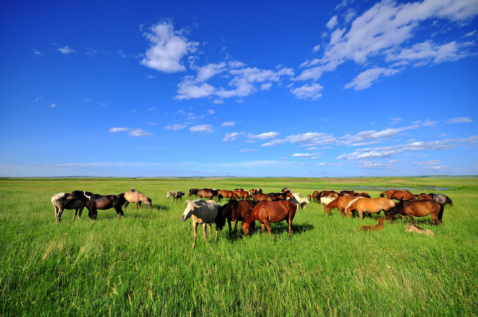 首页| 9001cc金沙集团以诚为本官网