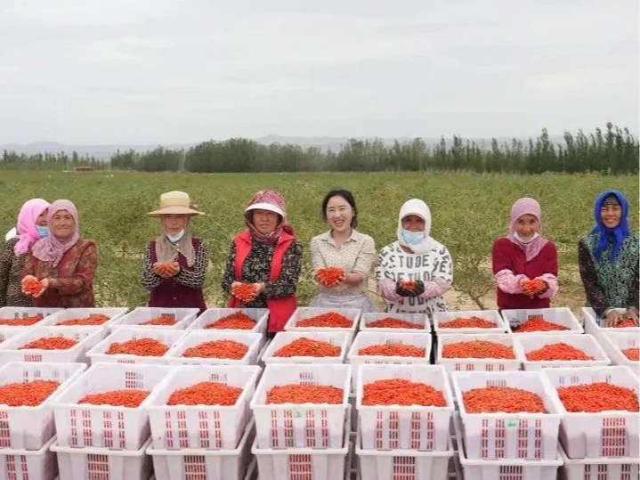 首页| 9001cc金沙集团以诚为本官网