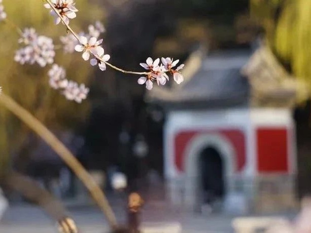 首页| 9001cc金沙集团以诚为本官网