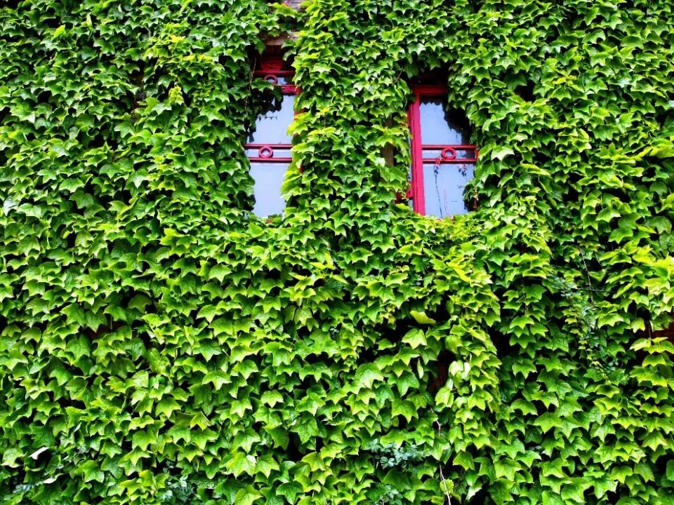 首页| 9001cc金沙集团以诚为本官网