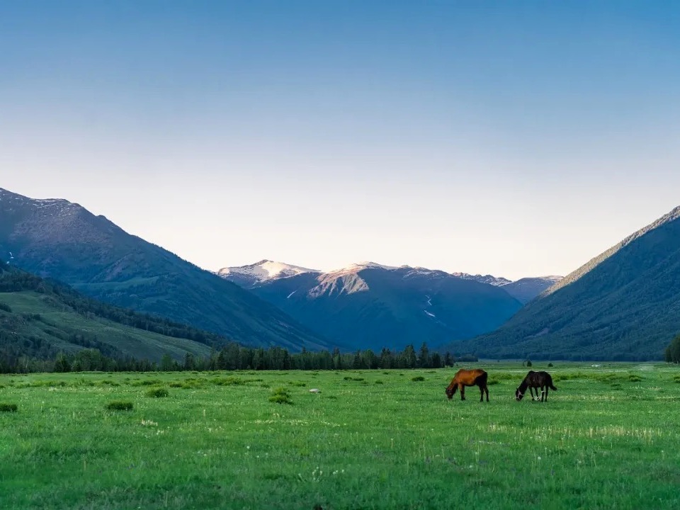 首页| 9001cc金沙集团以诚为本官网