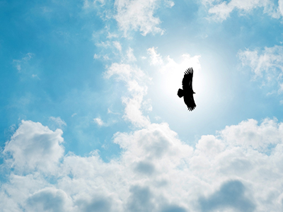 首页| 9001cc金沙集团以诚为本官网