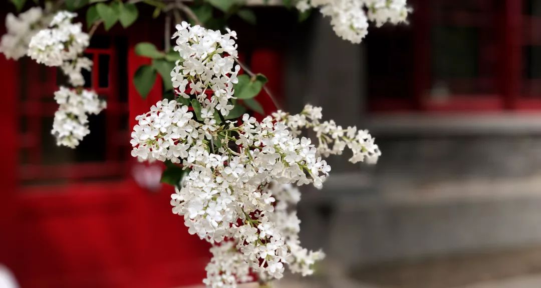 首页| 9001cc金沙集团以诚为本官网