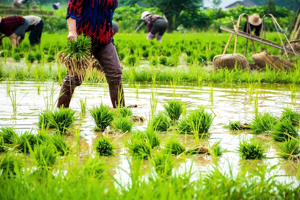 陈玉宇：被总理“点名”的6亿人在哪儿？