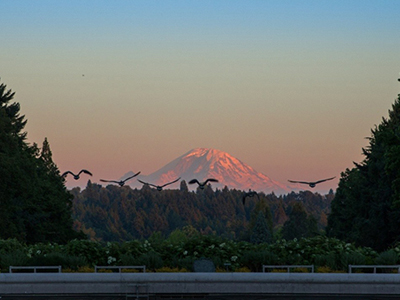 首页| 9001cc金沙集团以诚为本官网